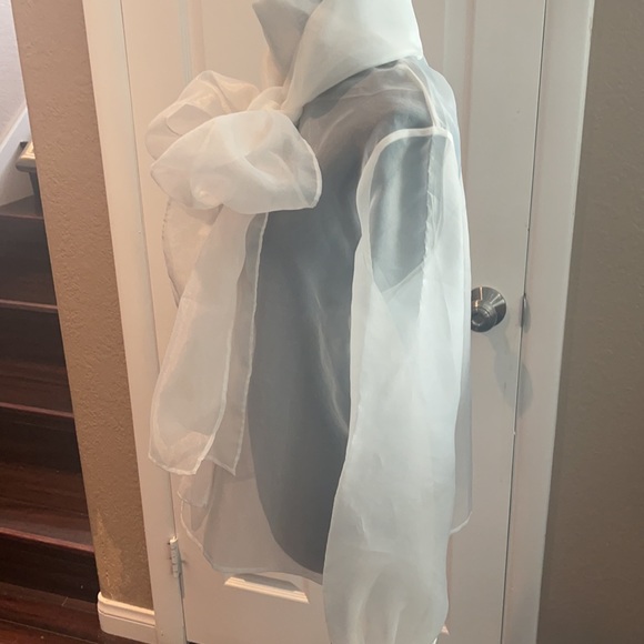 COPY - A white sheer women’s blouse size large - Picture 3 of 8
